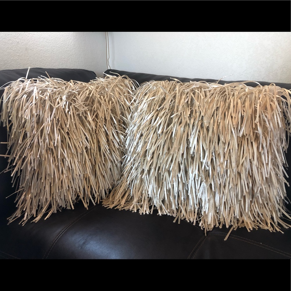 Two Cynthia rowley fringe pillows!